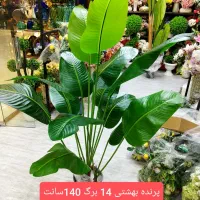 درختچه موز|گل مصنوعی|فردیس, فردیس|دیوار