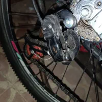 دوچرخه|دوچرخه، اسکیت، اسکوتر|نقده, |دیوار