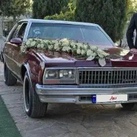 اجاره شولت ایمپالا جهت عروسی و عکاسی