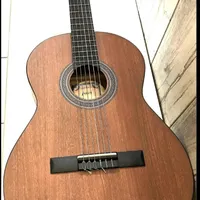 گیتار پارسی نو