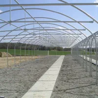 فروش سازه گلخانه ۲۵۰ متری گالوانیزه