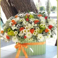 ممنون میشم از پیج کاریمون دیدن کنید