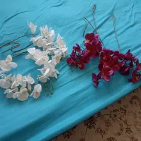 گل مصنوعی|گل مصنوعی|مشهد, الهیه|دیوار