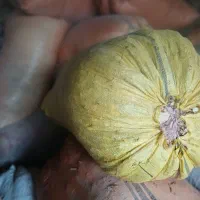 کاه و یونجه|لوازم جانبی حیوانات|خواجه, |دیوار