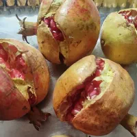 انار شیرین وآبدار