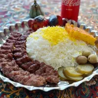 نیروی ساده تهیه غذا