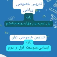 تدریس ریاضی ابتدایی و تدریس تخصصی زبان.