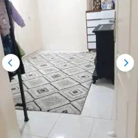 40 متر نوساز 5 دقیقه تا مترو بریانک