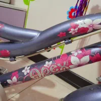 دو عدد دوچرخه دخترانه سایز ۱۲ مناسب هدیه|دوچرخه، اسکیت، اسکوتر|پردیس, فاز ۳|دیوار