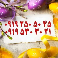 0913.850.2002|سیم‌کارت|یزد, |دیوار