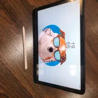 تبلت s10 samsung 256 12 fe WIFI