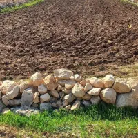 زمین کشاورزی آسمان اباد|فروش زمین و ملک کلنگی|چرداول, |دیوار