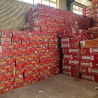 کولرگازی جنرال گلد ۳۰هزار ویتالی