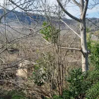 ۲۳۰۰متر زمین کاملا مسکونی|فروش زمین و ملک کلنگی|اطاقور, |دیوار