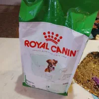 غذا خشک رویال کنین اورجینال