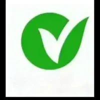 جذب نیرو ضامن