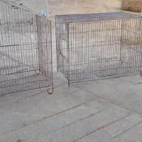 قفس|لوازم جانبی حیوانات|مسجد سلیمان, |دیوار