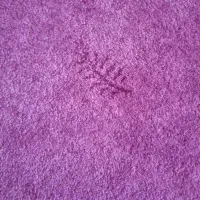 موکت پالاز پرز بلند