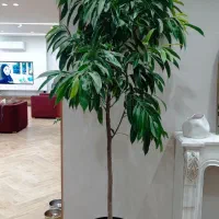 بین خیام ۳۸و۴۰