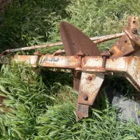 گاو اهن شخم ایران