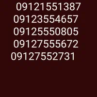 09121551387
