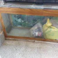 آکواریوم. شن و پمپ هوا