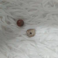 مهره