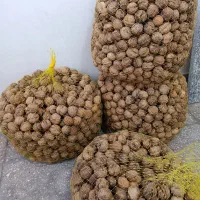 گردو درجه ۱ تا درجه ۳|خوردنی و آشامیدنی|شهر بابک, |دیوار