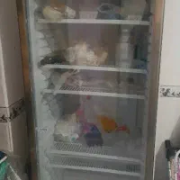 یخچال ایستاده تک درب