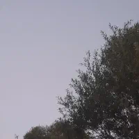 معرفی دعا نویس
