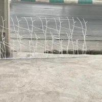 حفاظ بوته تای شاخ گوزنی|مصالح و تجهیزات ساختمان|کرمان, |دیوار