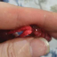 تسبیح کهنه|کلکسیون اشیاء عتیقه|باسمنج, |دیوار