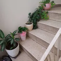 اقامتگاه و خوابگاه و پانسیون دخترانه
