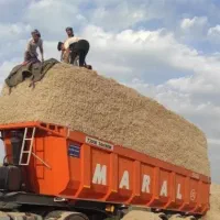 سفال، کاه نیشکر فله خوراک دام باگاس خوراکی|لوازم جانبی حیوانات|رباطکریم, رباطکریم|دیوار