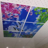 فروش و اجرا سقف کاذب کل تهران|خدمات پیشه و مهارت|تهران, بازار|دیوار