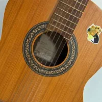 گیتار مدل پارسی مدلD6