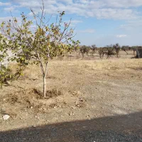 زمین در روستای سرکندیزج|فروش زمین و ملک کلنگی|صوفیان, |دیوار