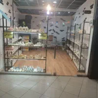 رگال مغازه درحدنو