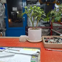 به یک شاگرد ساده نیازمندیم