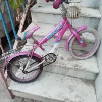 دوعدد دوچرخه ۱۶