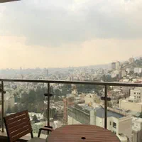 ۲۵۰ متر طبقه دهم فرمانیه شرقی/۲۰متر تراس