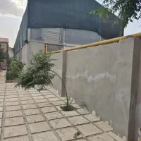 گلخانه|فروش دفتر صنعتی، کشاورزی، تجاری|پاکدشت, پاکدشت (مامازند)|دیوار