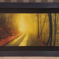 تابلو عکس شاسی