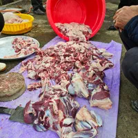 گوسفند زنده|حیوانات مزرعه|تهران, شهرک ولیعصر جنوبی|دیوار