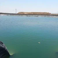 زمین باغی دنج با سند رسمی و آب مناسب سرمایه‌گذاری|فروش زمین و ملک کلنگی|اصفهان, دشتستان|دیوار