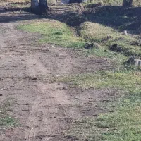 باغ کاملا دنج