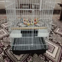 قفس ۱۰۳۲ با لوازم و سرلاک