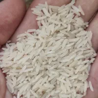 برنج گلستان|خوردنی و آشامیدنی|اهواز, زیتون کارمندی|دیوار