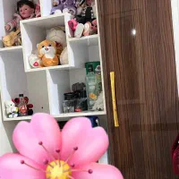کتابخانه و جا عروسکی|کتابخانه، شلف، قفسه‌های دیواری|تهران, والفجر (افسریه)|دیوار