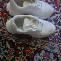 کتونی اسپرت